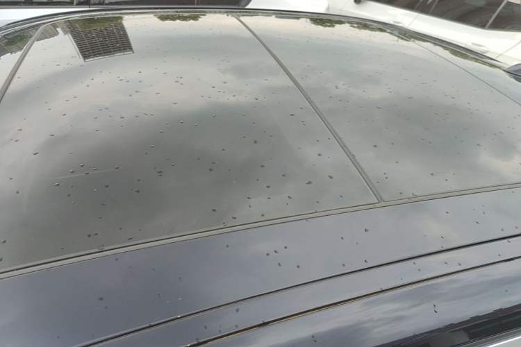 Used BMW i3 2024 eDrive 35 L Roof