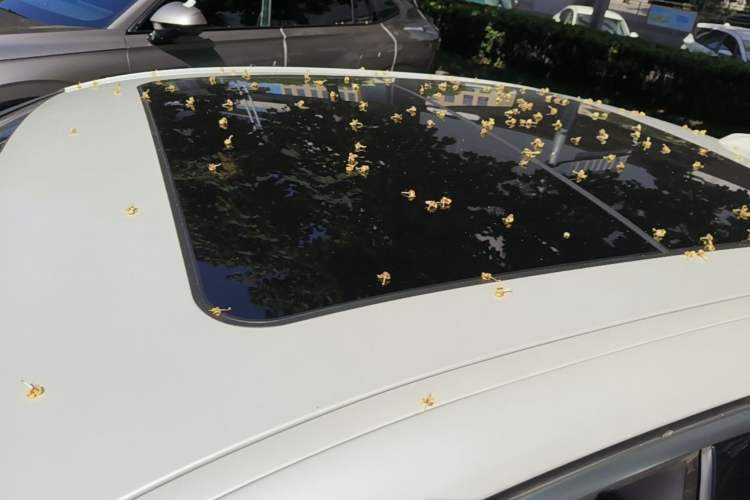 Used BMW i3 2024 eDrive 35 L Roof