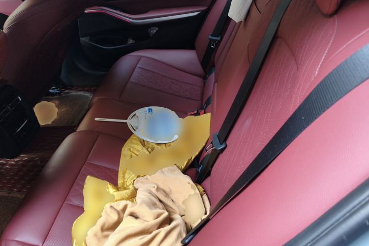 Used BMW i3 2025 eDrive 35 L Left Rear Seat