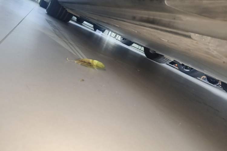 Used BMW i4 2023 eDrive40 Right Side Sill