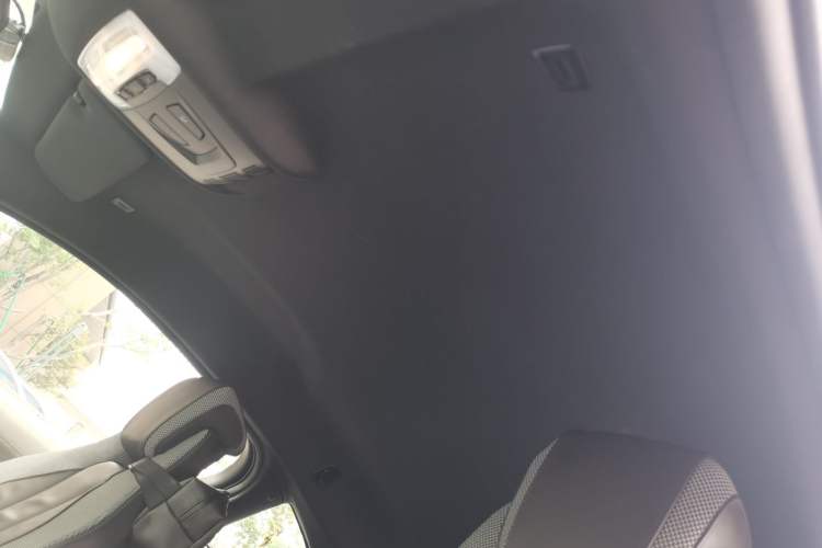 Used BMW i8 2014 Standard Model Headliner