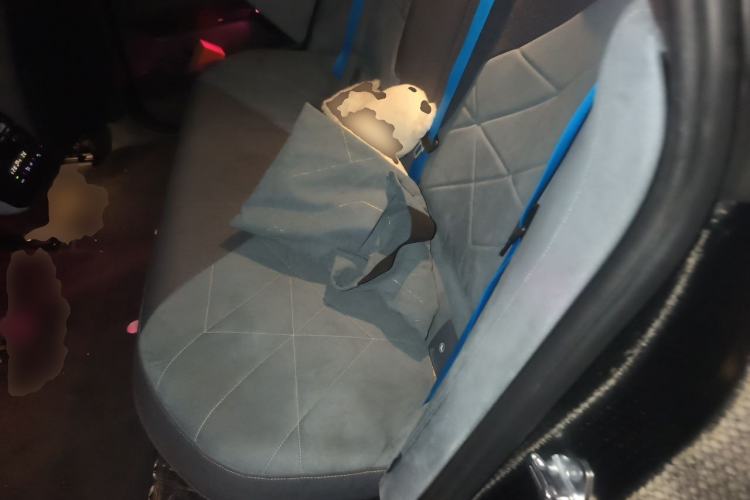 Used BMW iX 2022 xDrive40 Left Rear Seat