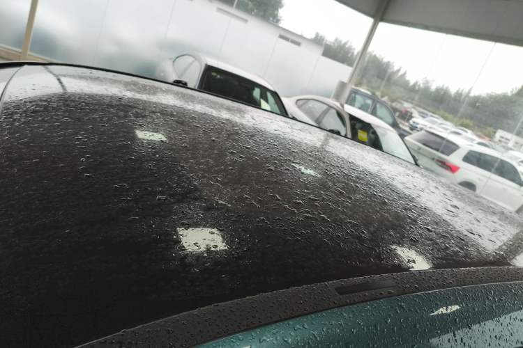 Used BMW iX 2022 xDrive40 Roof