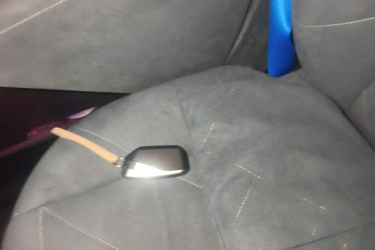 Used BMW iX 2022 xDrive40 Vehicle Key