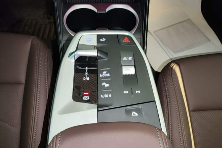 Used BMW iX1 2023 eDrive25L M Sport Package Gear Lever