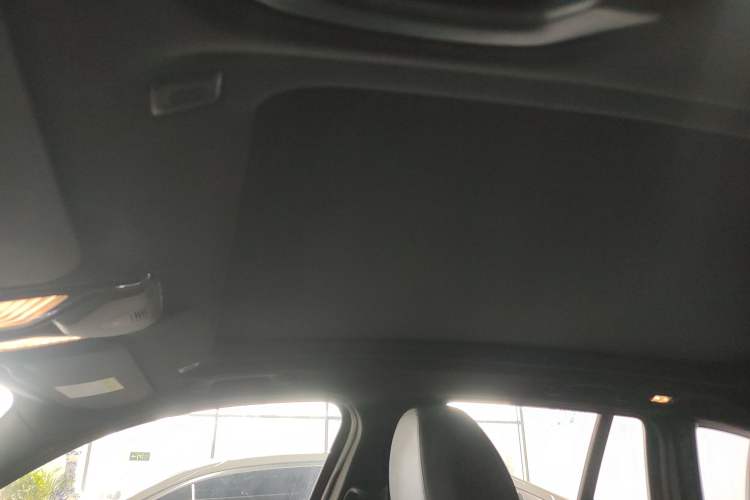 Used BMW iX3 2022 Leading Type Headliner