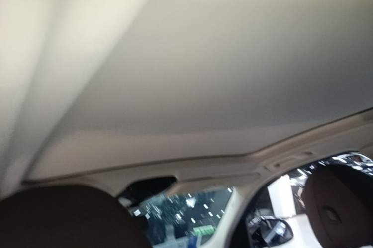 Used BMW iX3 2021 Leading Model Headliner