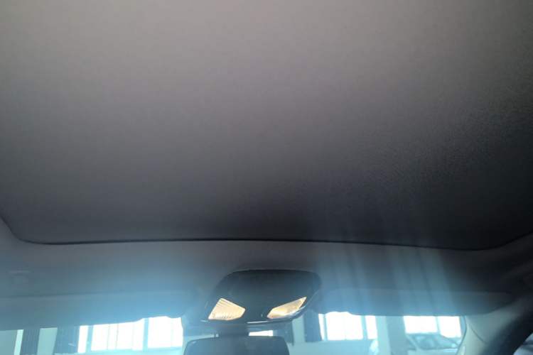 Used BMW iX3 2021 Leading Model Headliner