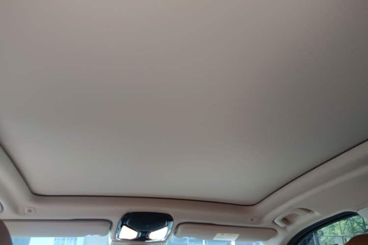 Used BMW iX3 2021 Updated Leading Type Headliner