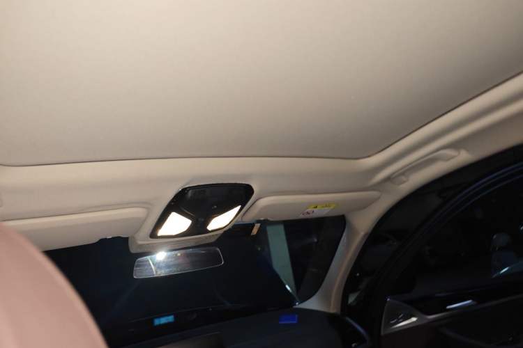 Used BMW iX3 2021 Leading Model Headliner