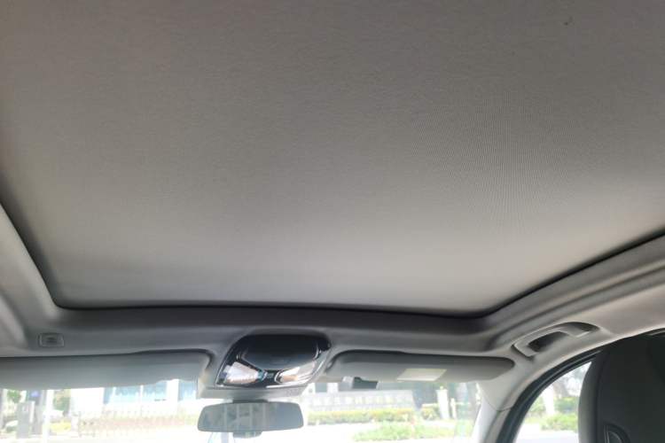 Used BMW iX3 2021 Updated Leading Edition Headliner
