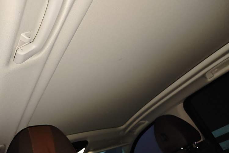 Used BMW iX3 2021 Updated Leading Type Headliner