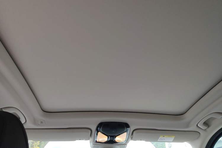 Used BMW iX3 2021 Leading Model Headliner