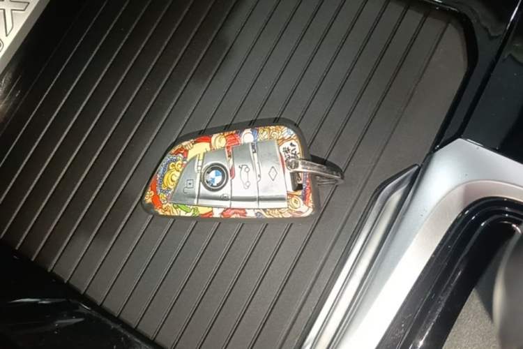 Used BMW iX3 2021 Leading Model Vehicle Key