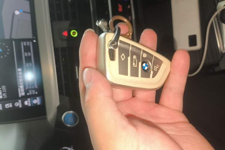 Used BMW iX3 2021 Leading Model Vehicle Key
