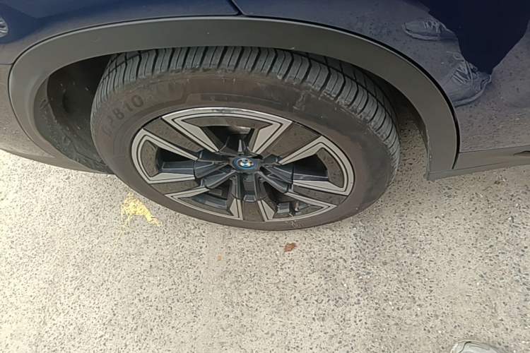 Used BMW iX3 2021 Leading Model Exterior 5