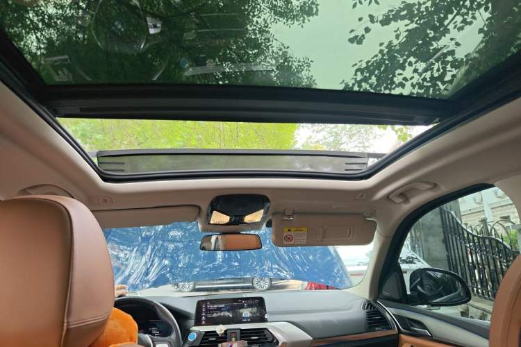 Used BMW iX3 2021 Leading Type Headliner