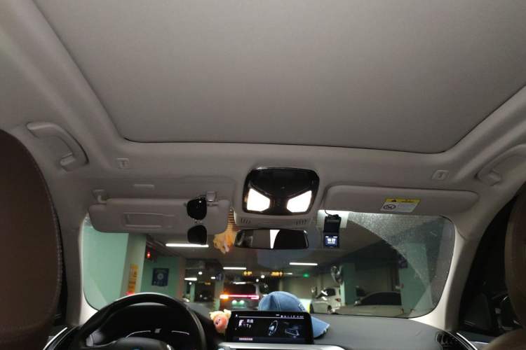 Used BMW iX3 2021 Updated Leading Edition Headliner