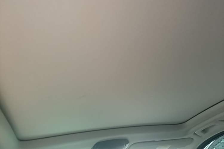 Used BMW iX3 2021 Leading Model Headliner