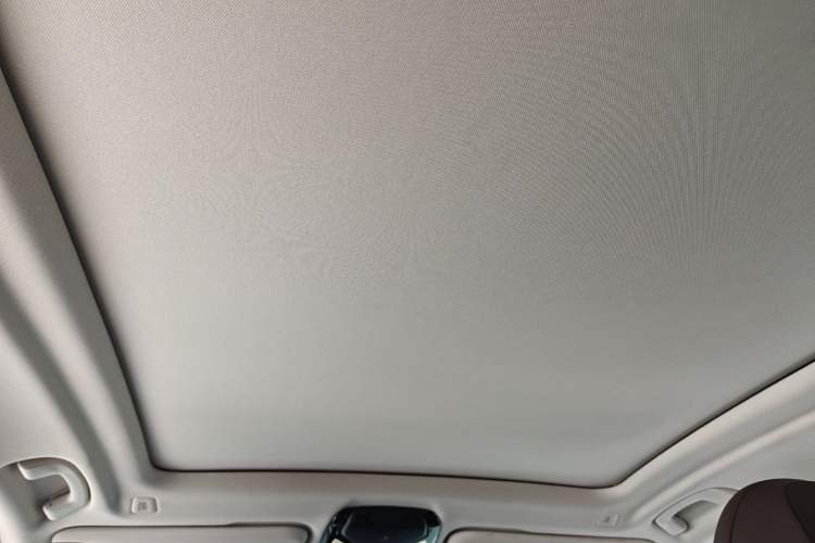 Used BMW iX3 2021 Leading Model Headliner