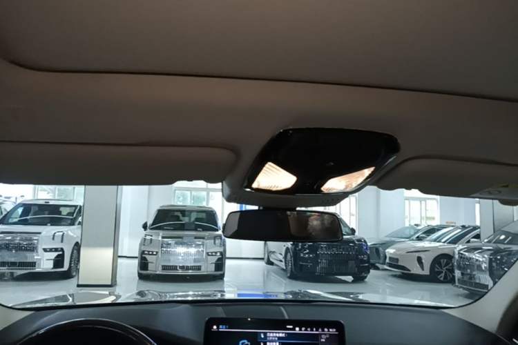 Used BMW iX3 2021 Updated Leading Edition Headliner