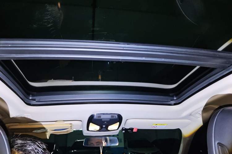 Used BMW iX3 2021 Updated Leading Edition Headliner