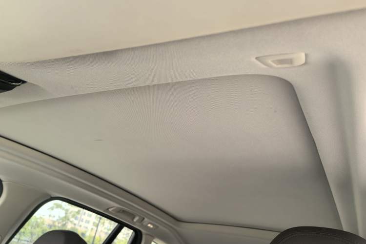 Used BMW iX3 2021 Leading Model Headliner