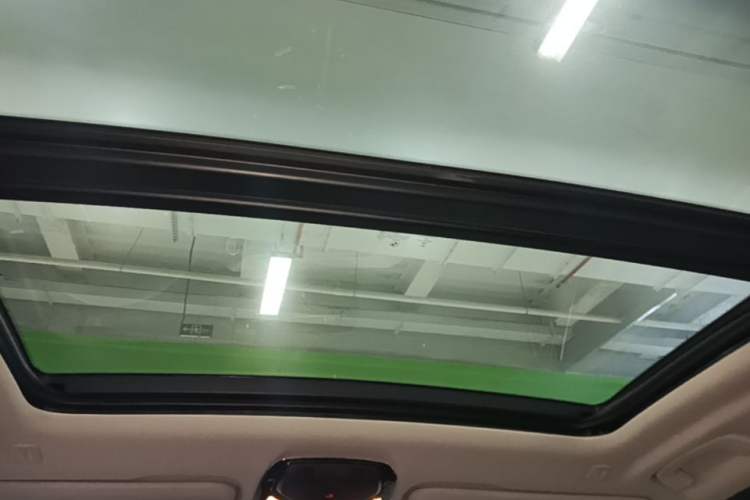 Used BMW iX3 2021 Leading Type Headliner