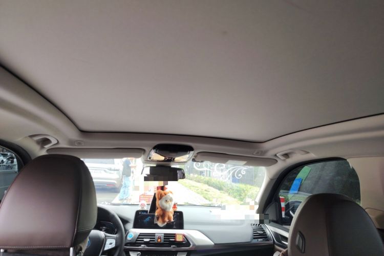 Used BMW iX3 2021 Leading Type Headliner