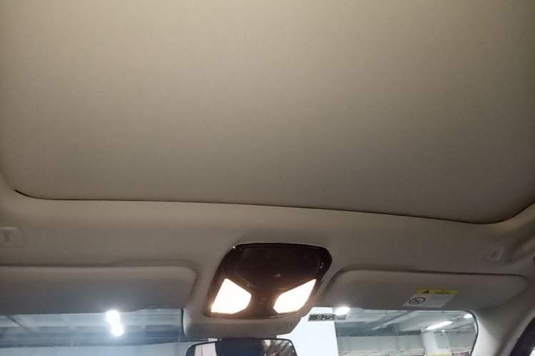 Used BMW iX3 2021 Leading Type Headliner