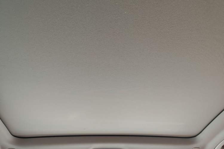 Used BMW iX3 2021 Updated Leading Edition Headliner