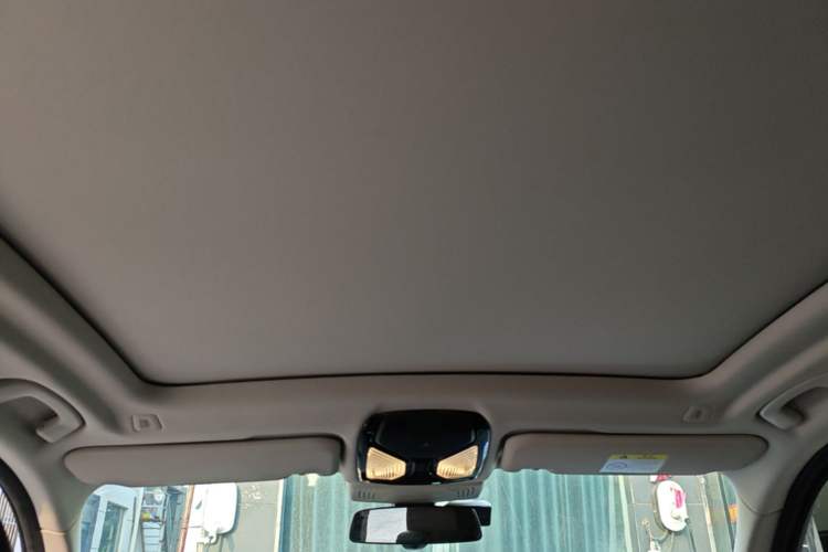 Used BMW iX3 2021 Leading Type Headliner