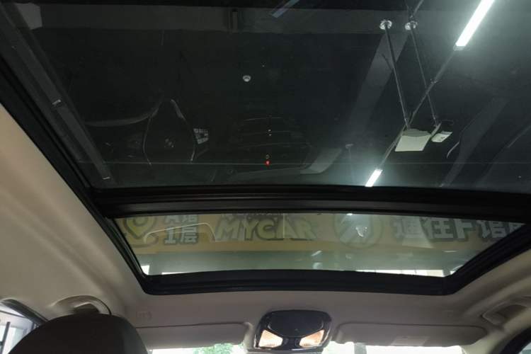 Used BMW iX3 2021 Leading Type Headliner