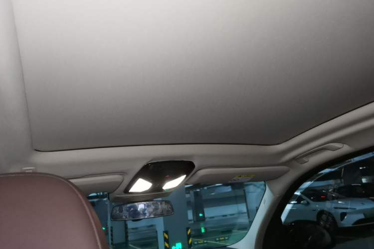 Used BMW iX3 2021 Leading Model Headliner