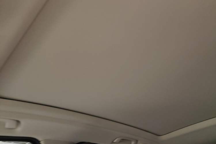 Used BMW iX3 2021 Leading Type Headliner
