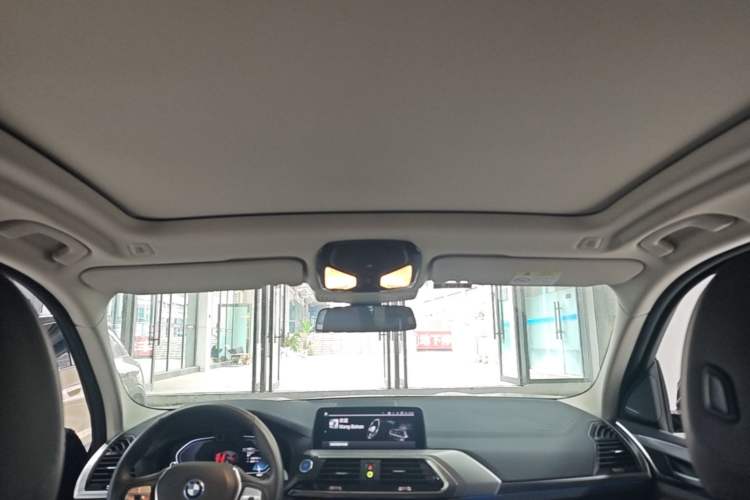 Used BMW iX3 2021 Leading Type Headliner