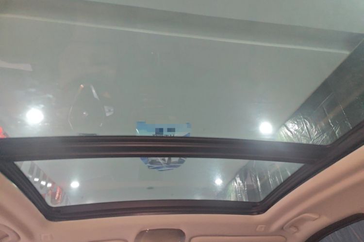 Used BMW iX3 2021 Leading Type Headliner
