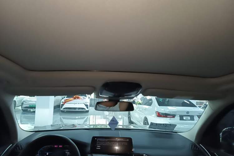 Used BMW iX3 2021 Updated Leading Edition Headliner
