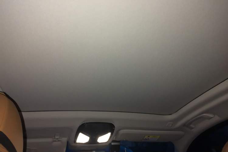 Used BMW iX3 2021 Updated Leading Type Headliner