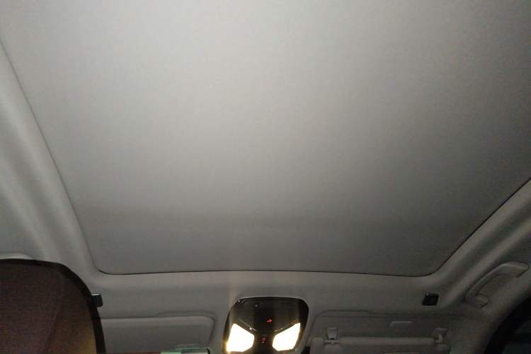Used BMW iX3 2021 Updated Leading Type Headliner