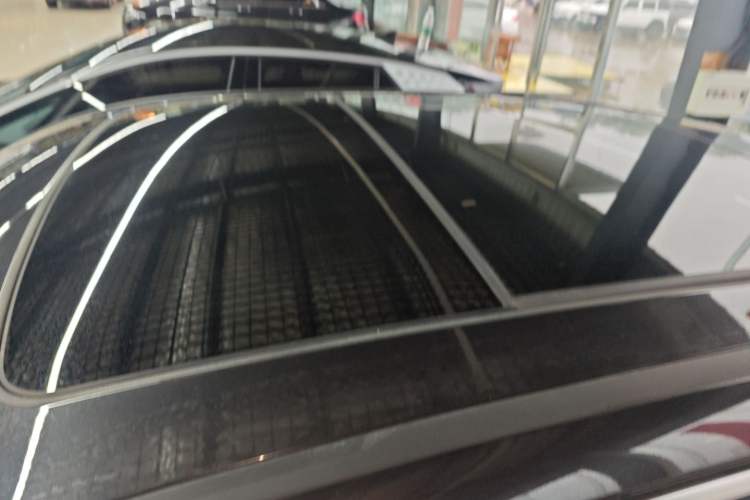 Used BMW iX3 2021 Leading Type Roof