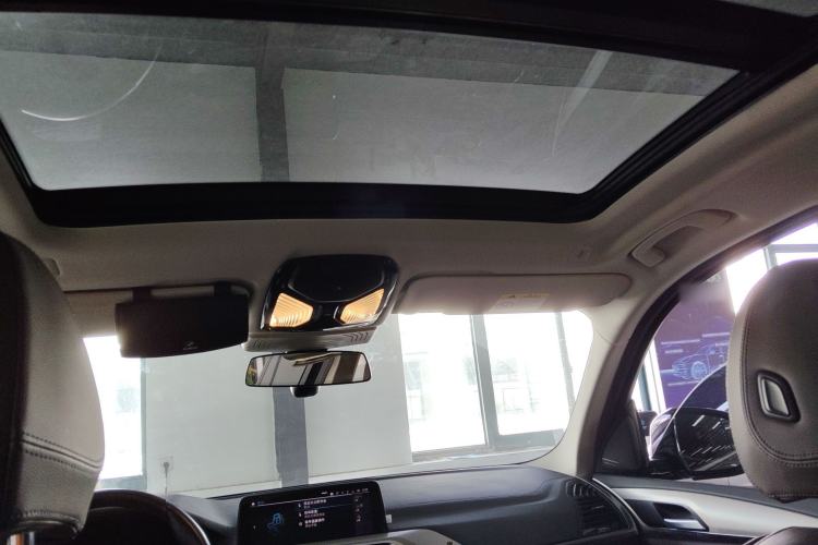 Used BMW iX3 2021 Leading Type Headliner