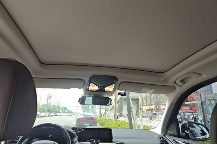Used BMW iX3 2021 Leading Model Headliner