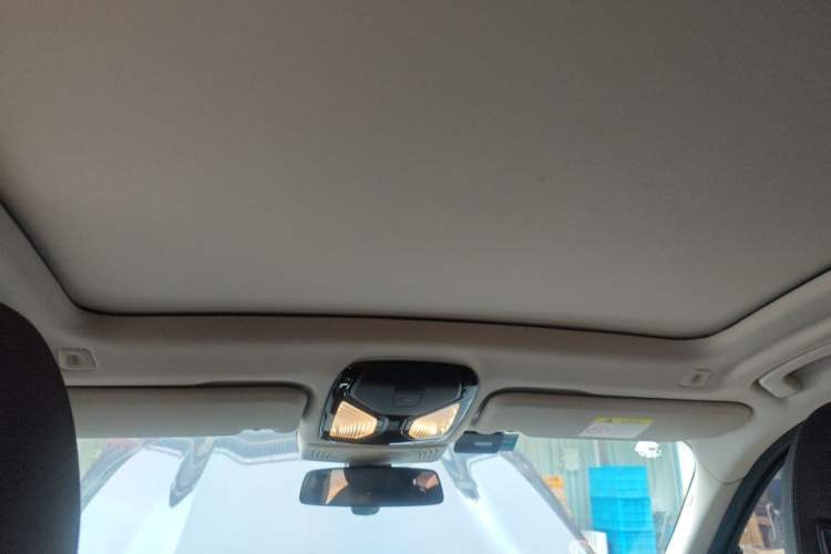 Used BMW iX3 2021 Leading Type Headliner