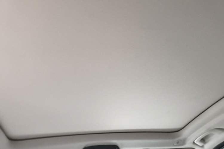 Used BMW iX3 2021 Leading Model Headliner