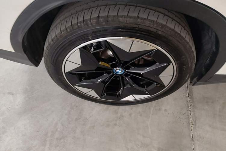 Used BMW iX3 2021 Updated Leading Type Exterior 5