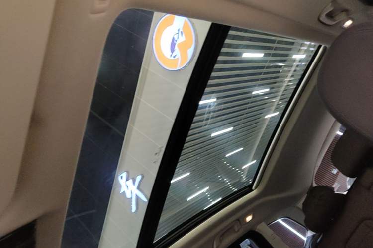 Used BMW iX3 2021 Updated Leading Edition Headliner