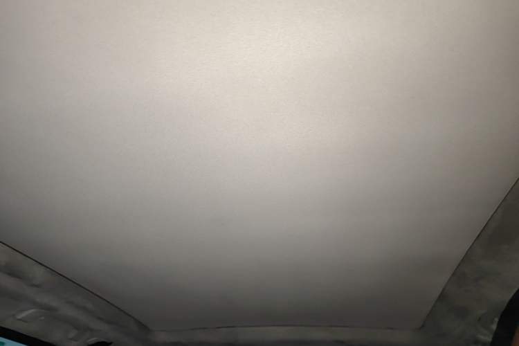 Used BMW iX3 2021 Leading Model Headliner