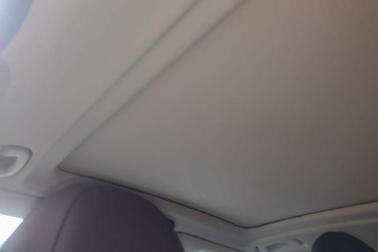 Used BMW iX3 2021 Updated Leading Type Headliner