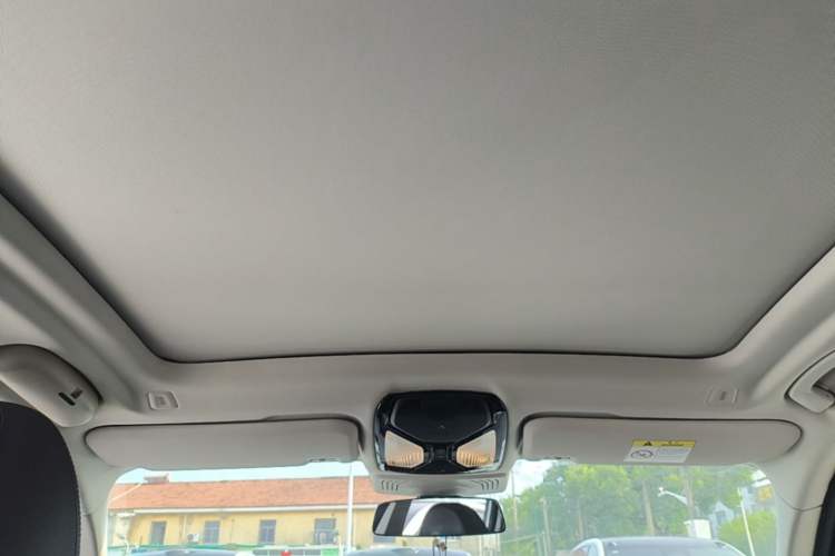 Used BMW iX3 2021 Leading Type Headliner